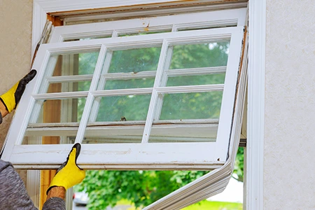 Window Replacement in Fort Lauderdale, FL
